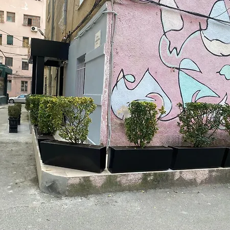 Petite Maison Hermes 3* טיראנה